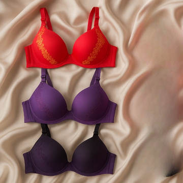 Silk Embroidered Padded Bra for Women – Luxury Undergarment with Soft Silk Fabric, Stylish Embroidery, Comfortable Fit & Everyday